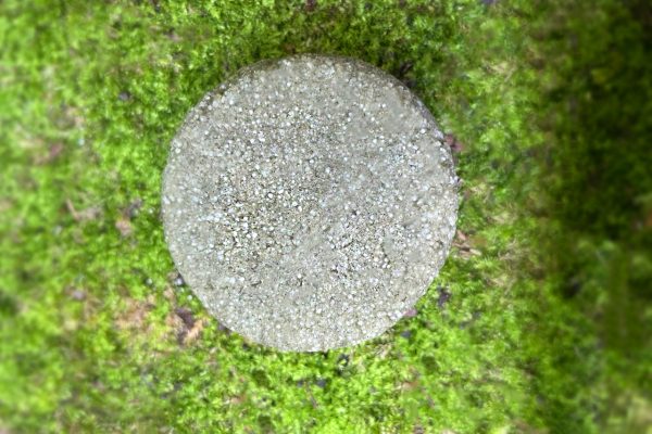 Твердий шампунь «для тонкого волосся Green ГАЯ натуральна косметика